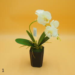 Cserepes gumi orchidea 8
