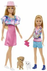 Mattel Barbie: Stacie to the Rescue - Barbie și Stacie (HRM09) Papusa Barbie