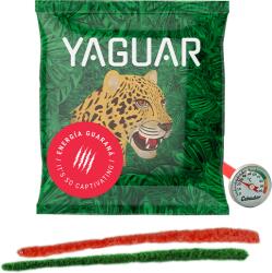 Yaguar Yerba Mate tea 50g + hőmérő + tisztítószer készlet (5904665802595)