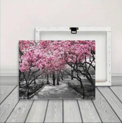 DA YOU Fali vászonkép kerettel - Japán cseresznyefa-virágzás fekete-fehér háttérrel