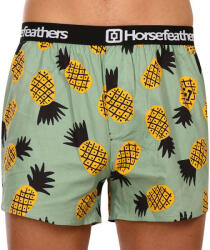 Horsefeathers Férfi bő szárú boxeralsók Horsefeathers Frazier ananász (AM166D) XL