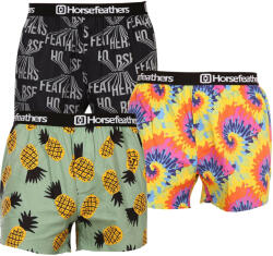 Horsefeathers 3PACK férfi bő szárú boxeralsók Horsefeathers Frazier (AM166BCD) L