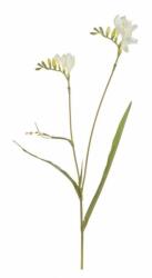 Bizzotto Set 24 flori artificiale Frezia alba verde 62 cm (0172285)