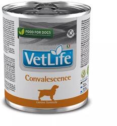 Vet Life Convalescence 12x300 g