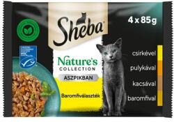 Sheba 4-pack alutasakos nedves macskaeledel baromfi válogatással, 4x85 g