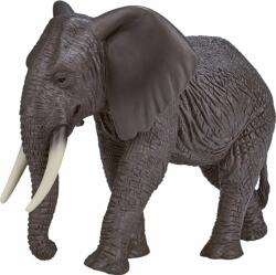 Mojo elefant african (DDMJ387189)