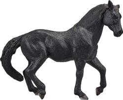 Mojo cal andaluz negru (DDMJ387109)