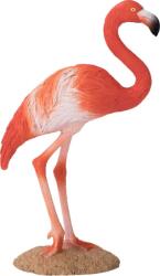 Mojo American Flamingo (DDMJ387134)