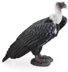 Mojo Vulturul Grifon Mojo (DDMJ387165)