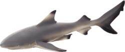 Mojo Blacktip Shark (DDMJ387357)