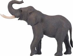 Mojo elefant african (DDMJ381005) Figurina