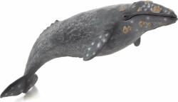 Mojo Balena cenușie Mojo (DDMJ387280) Figurina