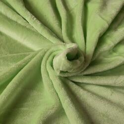 4-Home Cearșaf de pat micropluș verde, 90 x 200 cm, 90 x 200 cm