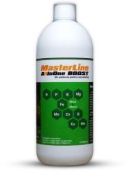 MasterLine All in One Boost, 1000 ml
