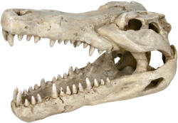 TRIXIE Decor Craniu Crocodil 14 cm 8712