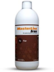 MasterLine Iron, 1000ml