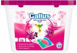 Gallus Color mosótabletta, 30 db
