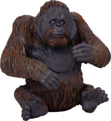 Mojo Az én orangutánom (DDMJ381028)