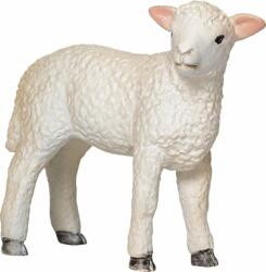 Mojo A bárány romney állva (DDMJ381065)