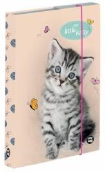 Oxybag Kitty cicás füzetbox - A4 - OXY BAG (IMO-KPP-3-74023) - mindenkiaruhaza