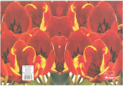  Füzetborító A/4 Love tulipán