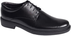  Pantofi barbati casual din piele naturala box, Negru, Alexander Rome AREZO - ellegant