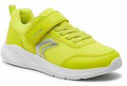 GEOX Sneakers J Sprintye Boy J36GBA 01454 C3008 D Verde