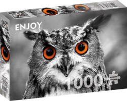 Enjoy 1000 db-os puzzle - Curious Owl (1626) (1626)