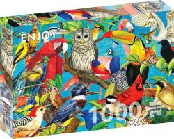 Enjoy 1000 db-os puzzle - Feathered Fenzy (2032) (2032)