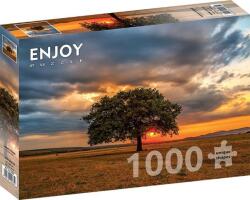 Enjoy 1000 db-os puzzle - Leaves Eclipse (2065)