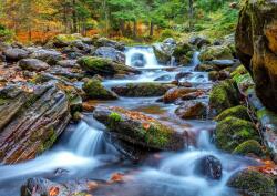 Enjoy 1281 - Forest Stream in Autumn - 1000 db-os puzzle (1281)