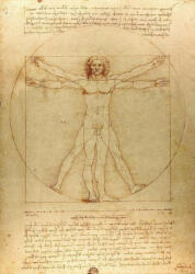 Enjoy 1557 - The Vitruvian Man - 1000 db-os puzzle (1557)
