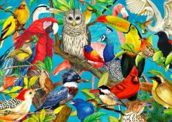 Enjoy 2032 - Feathered Fenzy - 1000 db-os puzzle