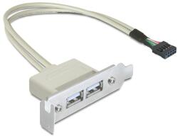Delock Slot konzol USB 2.0 low profile 2 port (83119) - nyomtassingyen