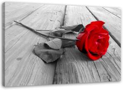 Gario Vászonkép Vörös rózsa Méret: 60 x 40 cm