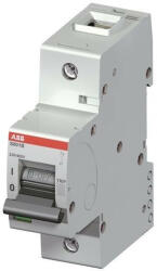 ABB S801B-D100 kismegszakító 1P, 100A, D karakterisztika, 16kA (ABB 2CCS811001R0821, S801BD100) (2CCS811001R0821)