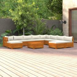 vidaXL Set mobilier grădină cu perne, 11 piese, lemn masiv de acacia (3087295)