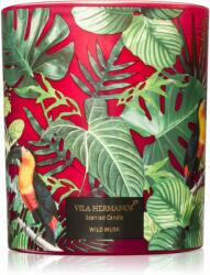 Vila Hermanos Jungletopia Wild Musk lumânare parfumată 200 g
