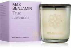 Max Benjamin True Lavender illatgyertya 210 g