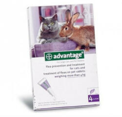 Bayer Advantage Pisica/Iepure 80 Peste 4 Kg, Cutie cu 4 pipete