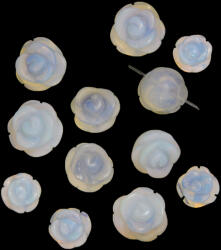  Opalit Floare 8, 10, 12, 14 mm - cu Gaura - Margele Pietre Semipretioase - 1 Buc