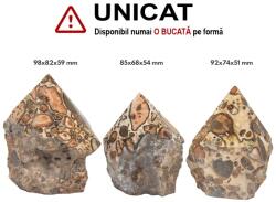 Generator Jasp Piele de Leopard Mineral Natural - 85-98 x 68-82 x 51-59 mm - (XXL) - 1 Buc