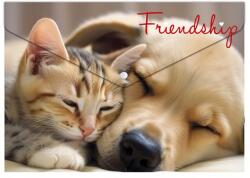 Panta Plast Irattartó tasak, A5 PP, patentos, 180 mikron, PANTA PLAST Friendship (0410-0069-55) - molnarpapir