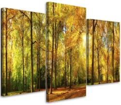 Gario Vászonkép Osz az erdőben - 3 részes Méret: 60 x 40 cm