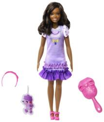 Mattel - Barbie HLL18 Az első Barbie babám - Fekete hajú lány pudlival