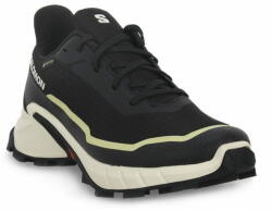 Salomon Cipők futás fekete 41 1/3 EU Alphacross 5 Gtx - mall - 98 442 Ft