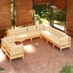 vidaXL Set mobilier grădină cu perne crem, 9 piese, lemn masiv de pin (3096899)