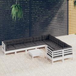vidaXL Set mobilier grădină cu perne, 10 piese, alb, lemn de pin (3096990)
