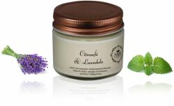 Aurora Candle Citromfű & Levendula - Vintage illatgyertya