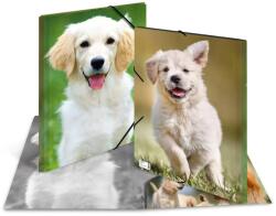HERMA Sammelmappe A3 Hunde Polypropylen (7144) (7144)